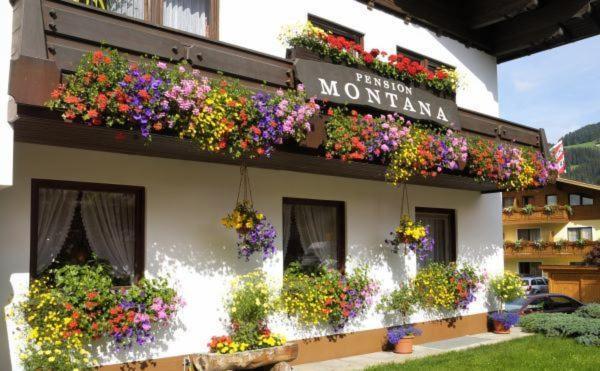 Pension Montana Wagrain Exterior photo